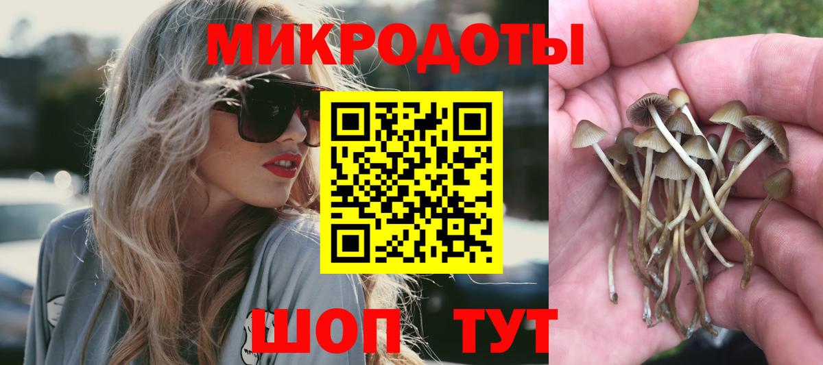 Галлюциногенные грибы Psilocybine cubensis Темрюк
