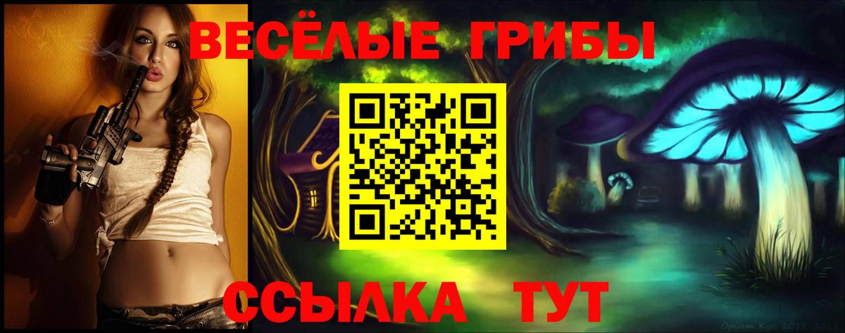 Темрюк  Галлюциногенные грибы Psilocybine cubensis  Вход с VPN 
